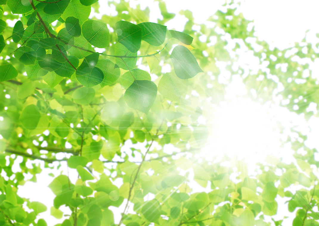 さがみおおの整骨院